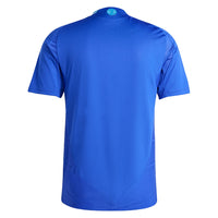 Men's Argentina Authentic Away Jersey 2024